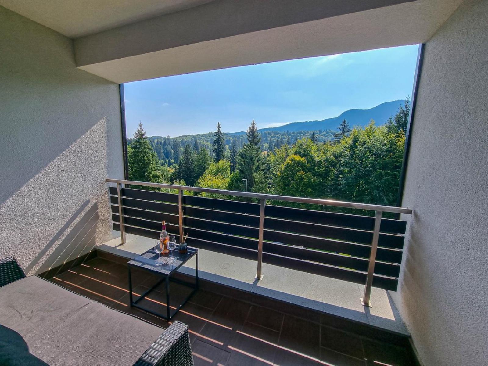 Silver Mountain G1 21 R Poiana Brašov Exteriér fotografie
